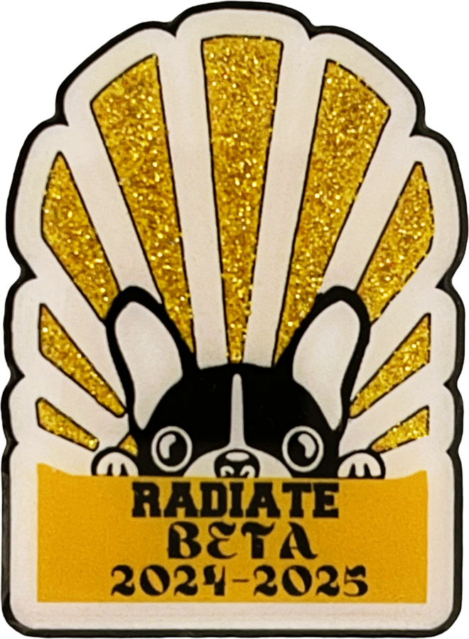 Custom National Beta Pin for Altha Public School Beta Club