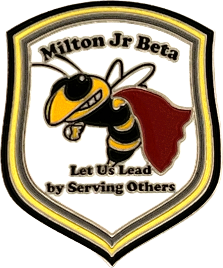 Custom National Beta Pin for Milton Middle School Jr Beta Super Server
