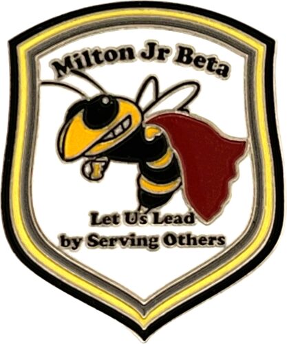 Beta Pin Examples - Milton Middle School Jr Beta Super Server